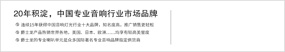 21年積澱，中國專業音響行業市場品牌